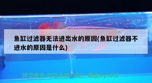 魚缸過濾器無法進(jìn)出水的原因(魚缸過濾器不進(jìn)水的原因是什么)