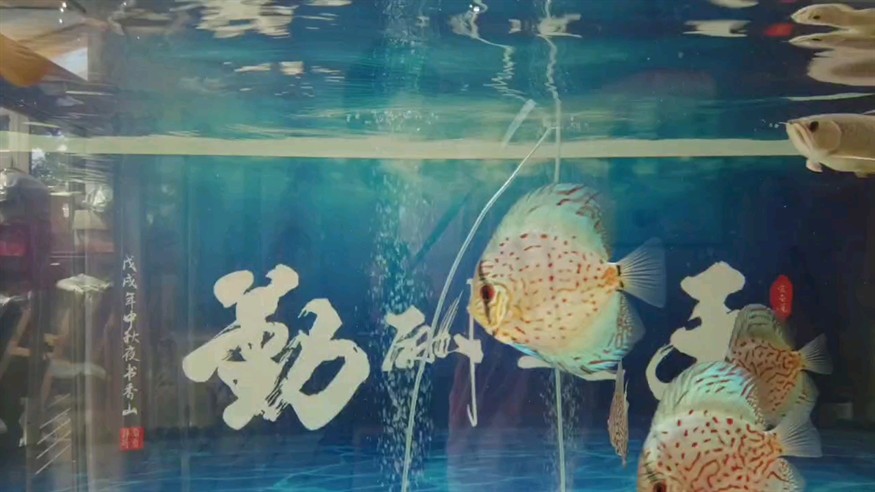 火星撞地球
