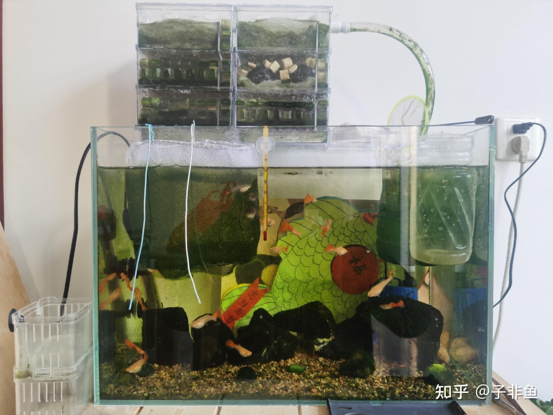 玻璃魚(yú)缸過(guò)濾器有用嗎知乎：免影響過(guò)濾器在維持魚(yú)缸水質(zhì)清潔和補(bǔ)充