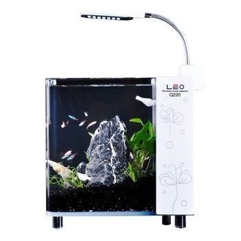 leo魚缸官網：leo魚缸官網app快速訪問水族箱官網信息