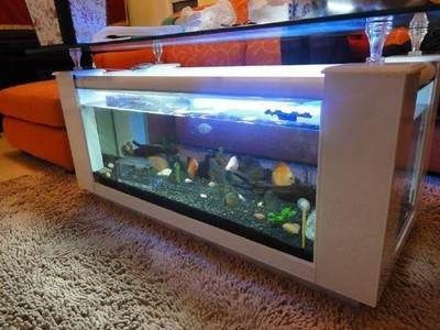 1.5米下過濾魚缸多少錢：1.5米下過濾魚缸多少錢下過濾魚缸多少錢 1.5米下過濾魚缸多少錢：1.5米下過濾魚缸多少錢下過濾魚缸多少錢 魚缸百科 第2張