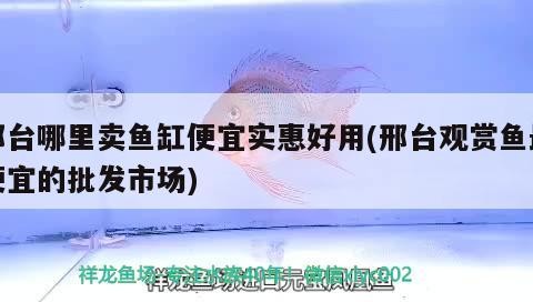 魚缸用增氧泵價格是多少:魚缸增氧機-xtrac增氧機-xtrac增氧機 邢臺哪里賣魚缸便宜實惠好用(邢臺觀賞魚最便宜的批發市場) 虎魚百科 邢臺哪里賣魚缸便宜實惠好用(邢臺觀賞魚最便宜的批發市場) 邢臺哪里賣魚缸便宜實惠好用(邢臺觀賞魚最便宜的批發市場) 虎魚百科