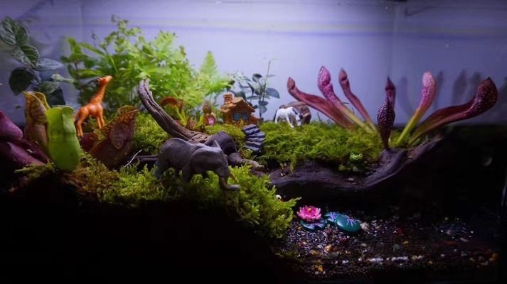 不想用的魚(yú)缸怎么處理掉了：不想用的魚(yú)缸可以根據(jù)個(gè)人喜好和需求決定如何處理