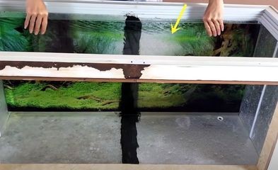 玻璃魚缸改造成別的家具：玻璃魚缸變身家具的創意方案魚缸變身家具的創意方案 玻璃魚缸改造成別的家具：玻璃魚缸變身家具的創意方案魚缸變身家具的創意方案 魚缸百科 第3張