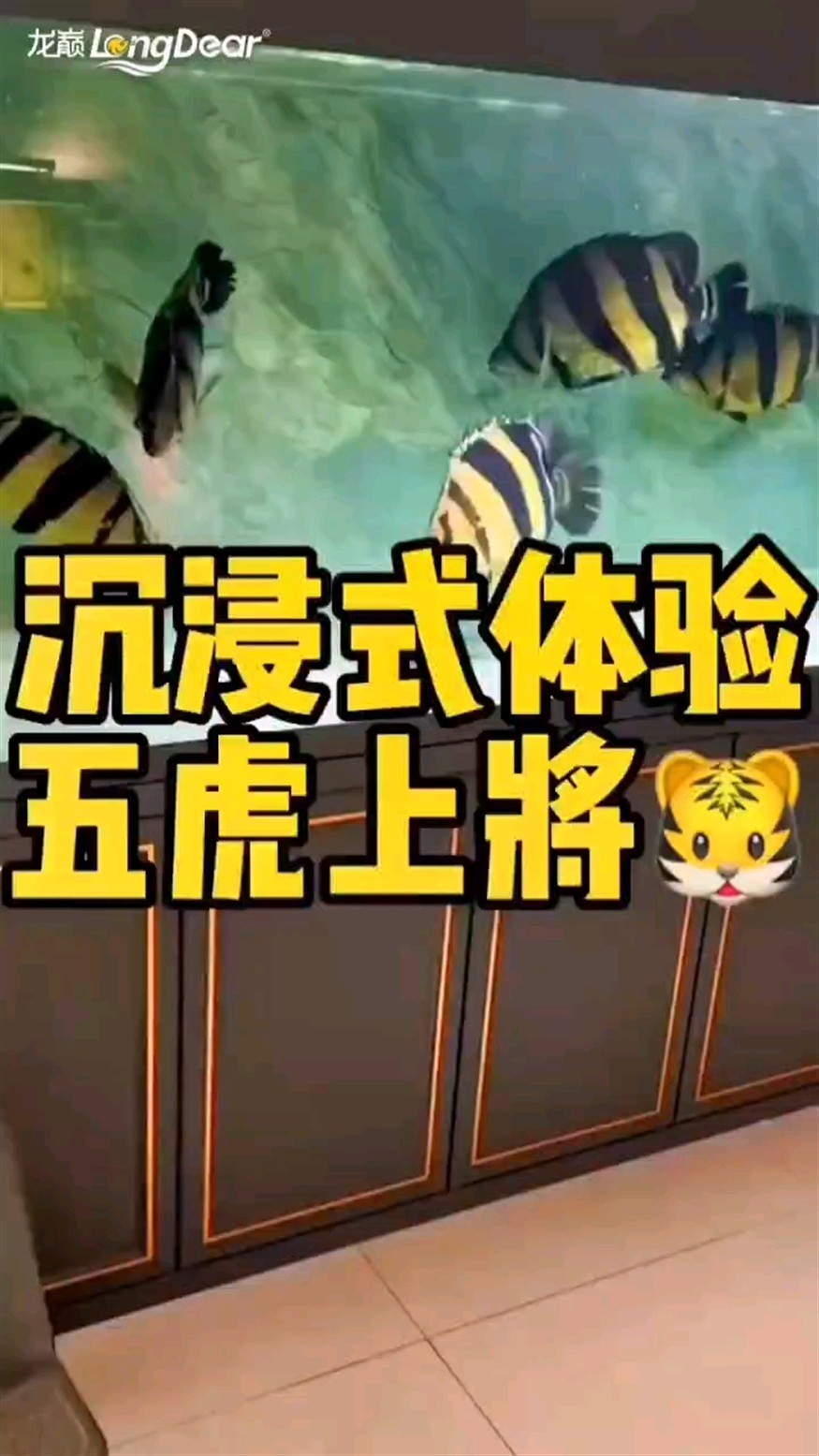 轉(zhuǎn)發(fā)166