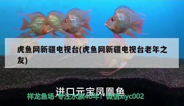 虎魚網(wǎng)<strong><mark>新疆</mark></strong>電視臺(虎魚網(wǎng)<strong><mark>新疆</mark></strong>電視臺老年之友)