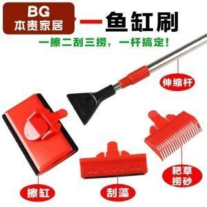 如何區(qū)分懷孕和炸鱗，懷孕和炸鱗的區(qū)別