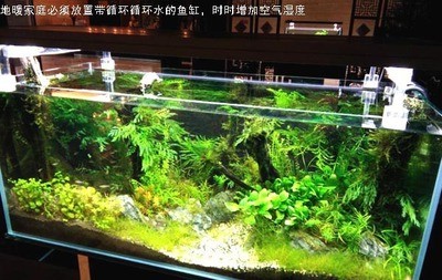桓臺縣城區魚趣茶語水族館（桓臺縣城區魚趣茶語水族館電話）
