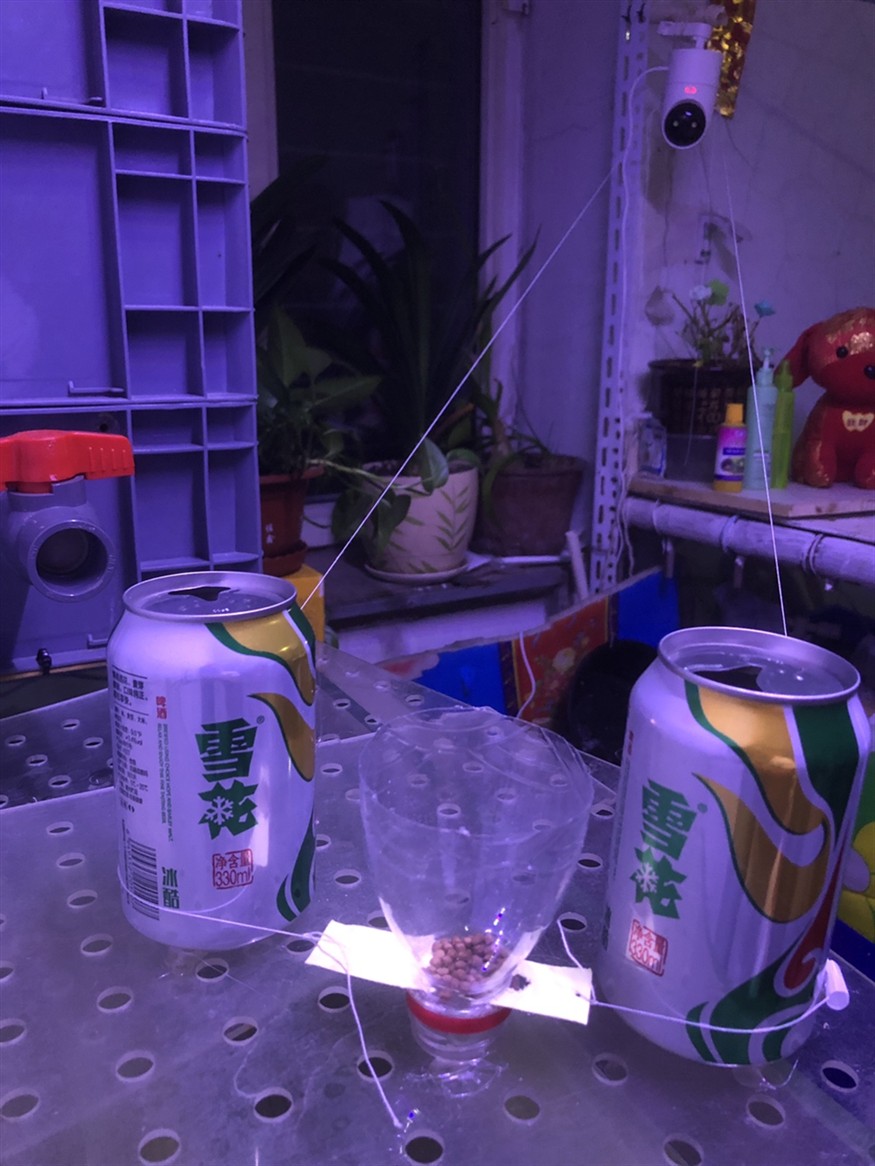 華為都突破了，我們也要有所創新