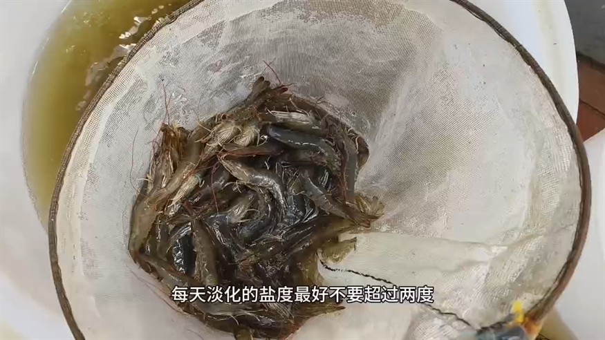 水質的日常管理