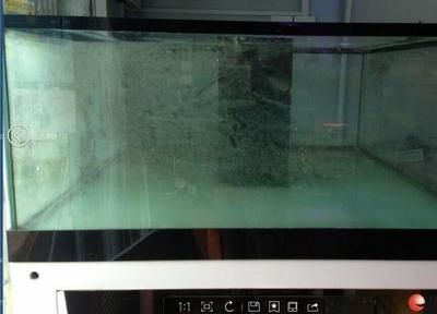 不小心把家里的魚缸碰碎了：不小心把家里的魚缸碰碎了怎么辦？