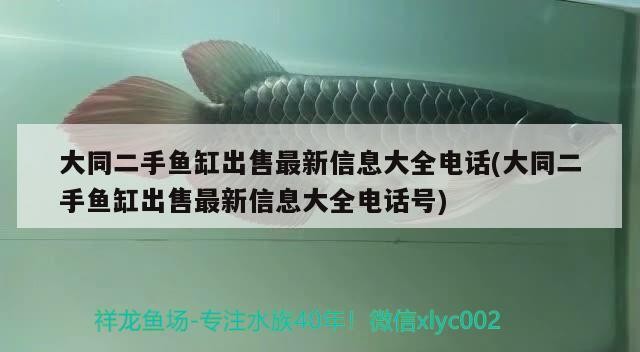 <strong><mark>大同</mark></strong>二手魚缸出售最新信息大全電話(<strong><mark>大同</mark></strong>二手魚缸出售最新信息大全電話號)