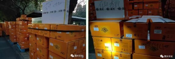 大魚缸用什么快遞物流比較好：大魚缸的快遞物流選擇 大魚缸用什么快遞物流比較好：大魚缸的快遞物流選擇 魚缸百科 第1張