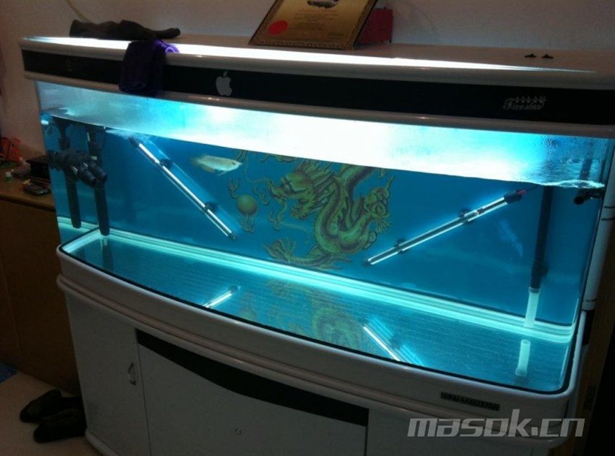 大魚缸加熱：智能魚缸控制系統已成為現代養魚愛好者的熱門話題
