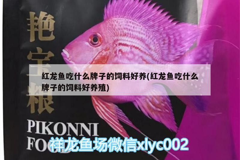 新開缸養水幾天后換水?(新開的缸幾天換水)