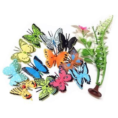 龍魚虎魚混養尺寸圖（龍魚虎魚配魚）