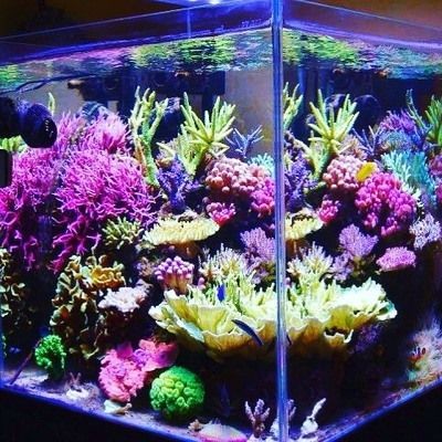 大型生態魚缸怎么制作過程圖：制作大型生態魚缸的基本步驟