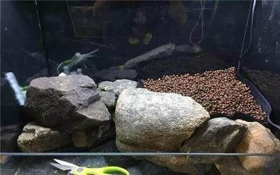 大型生態魚缸怎么制作過程圖：制作大型生態魚缸的基本步驟
