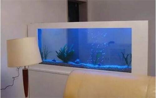 龍魚與虎魚（龍魚與虎魚混養(yǎng)）