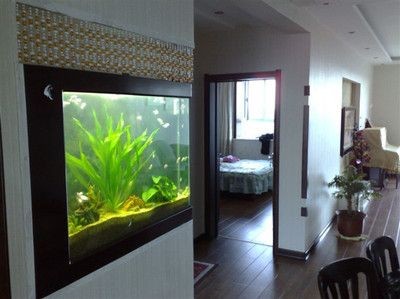 博雅魚缸售后服務：博雅魚缸的售后服務包括以下幾個方面博雅魚缸的售后服務