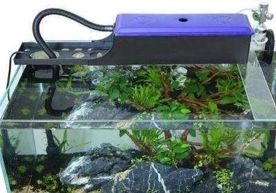 帶過濾的魚缸多久換水比較好：帶過濾的魚缸換水頻率應該如何調整