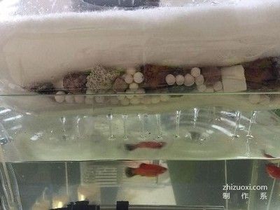 超市魚(yú)缸制作方法：超市魚(yú)缸制作方法涉及到多個(gè)步驟和細(xì)節(jié)和細(xì)節(jié)和細(xì)節(jié)