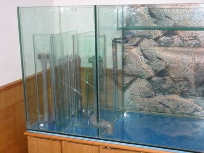 單面玻璃魚缸制作視頻：如何自制魚缸？