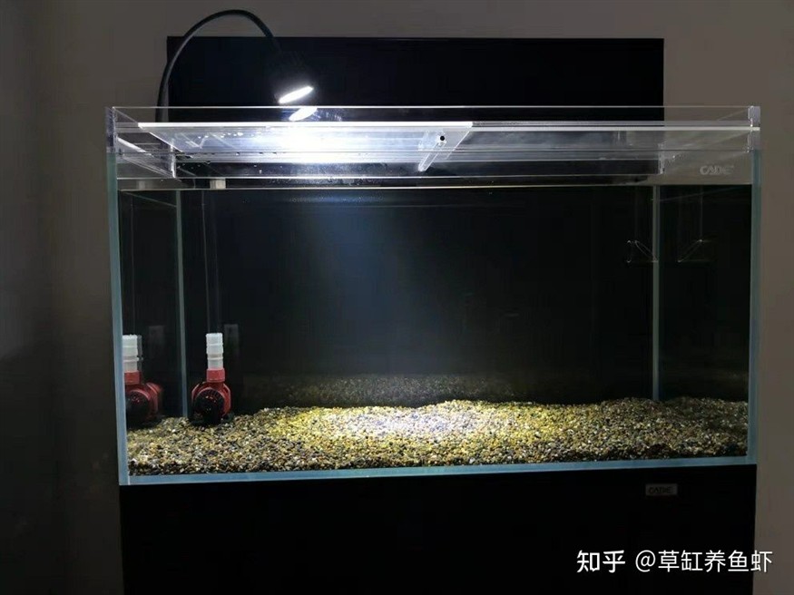 超白魚缸品牌推薦一下：超白魚缸品牌推薦森森、佳璐、魚麒麟品牌推薦上榜