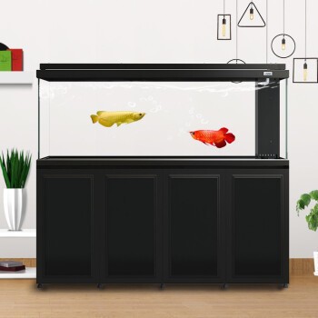 錫林浩特市忠海水族花卉店(錫林浩特市忠海水族花卉店電話) 全國水族館企業(yè)名錄 第1張 錫林浩特市忠海水族花卉店(錫林浩特市忠海水族花卉店電話) 錫林浩特市忠海水族花卉店(錫林浩特市忠海水族花卉店電話) 全國水族館企業(yè)名錄 第1張
