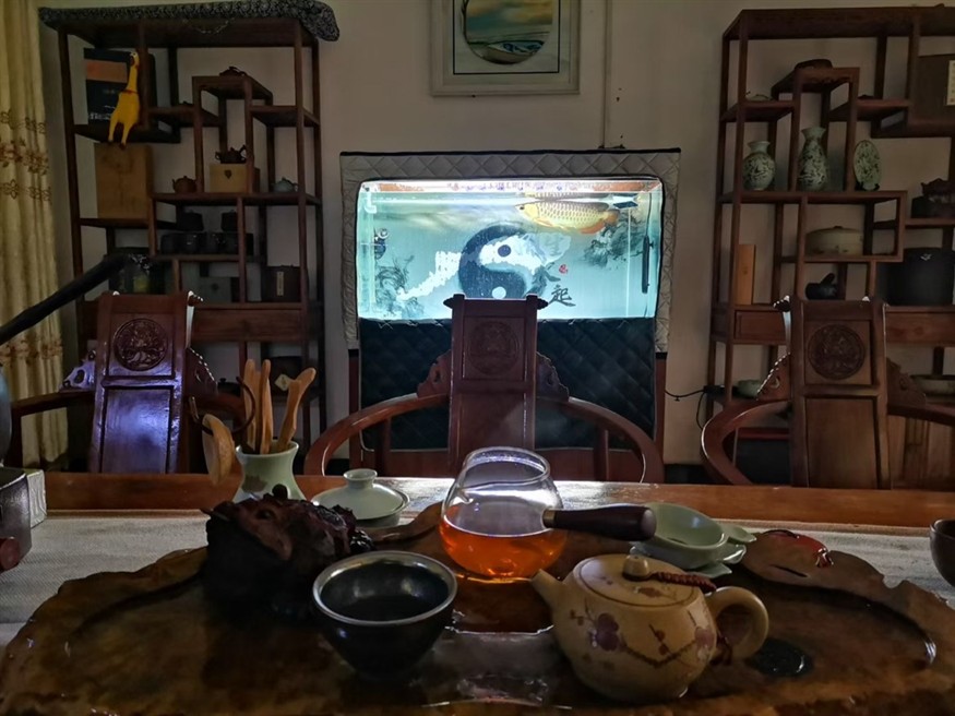 生于水，卒于水，葬于土，遁于風(fēng)，感謝4年零98天的陪伴，希君生羽翼，一化北冥魚。#龍魚擋災(zāi)