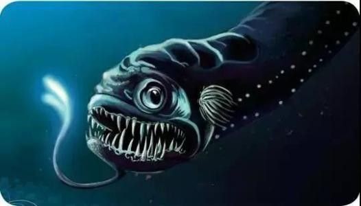 龍魚簡筆畫畫畫