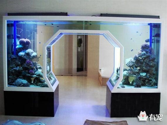 超白魚缸為什么貴呢：超白魚缸為什么昂貴