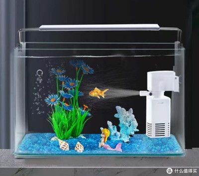 帶蓋的魚缸怎么改過濾