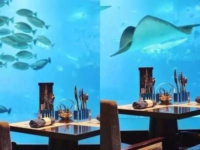 大型落地魚缸!低價出售!：大型落地魚缸低價出售！