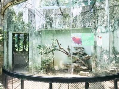 大型落地魚缸!低價出售!：大型落地魚缸低價出售！