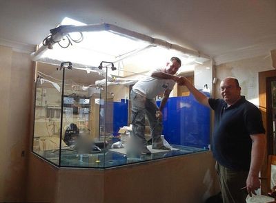 愛克魚缸好嗎安全嗎可以養(yǎng)嗎：愛克魚缸在安全性和平適用性方面表現(xiàn)良好 愛克魚缸好嗎安全嗎可以養(yǎng)嗎：愛克魚缸在安全性和平適用性方面表現(xiàn)良好 魚缸百科 第1張