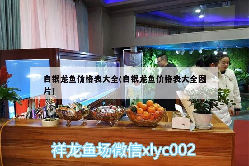 白銀龍魚價格表大全(白銀龍魚價格表大全圖片)