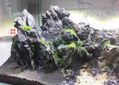 大石頭魚缸造景圖：大石頭魚缸造景圖魚缸造景技巧
