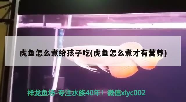 虎魚怎么煮給孩子吃(虎魚怎么煮才有營養(yǎng))