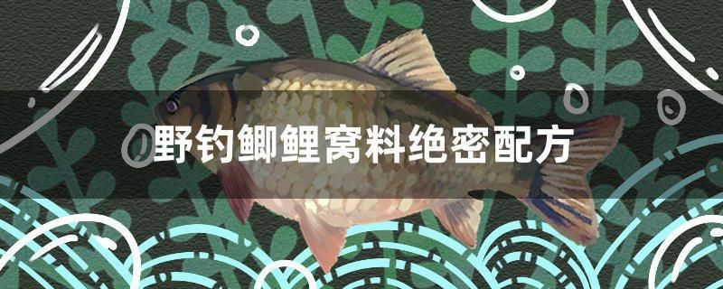 野釣鯽鯉窩料絕密配方