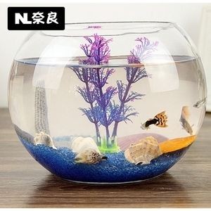 玻璃魚缸種什么花好養：在玻璃魚缸中容易養護的花卉
