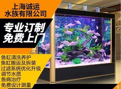 搬運(yùn)魚(yú)缸找哪家公司好一點(diǎn)：如何選擇搬家公司
