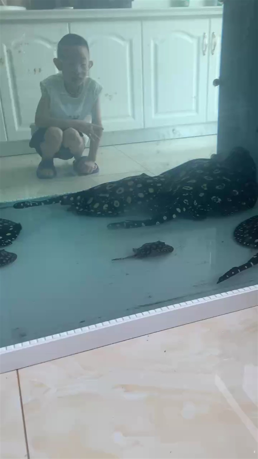 撿小魚了