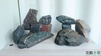 從海邊撿的石頭能進魚缸嗎視頻：從海邊撿回來的石頭可以放入魚缸