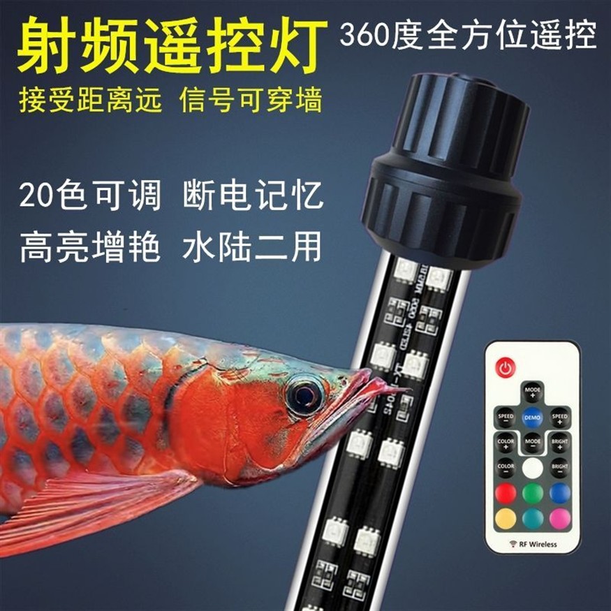 紅龍魚要用什么燈管好一點