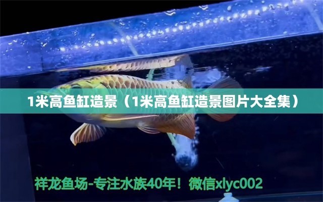 嫩江縣麗江水族館（嫩江縣麗江水族館電話）