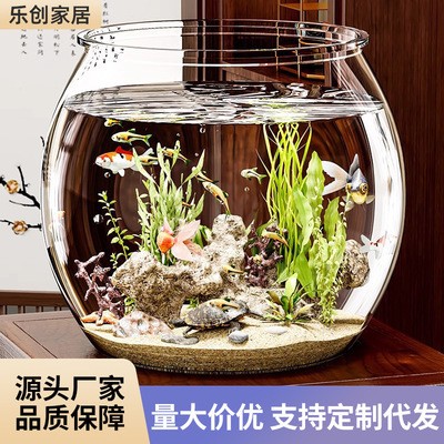 紅龍魚品種排名（紅龍魚品種排名榜）