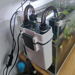壁掛魚缸過濾器共振怎么解決：壁掛魚缸過濾器共振問題是養魚過程中常見的問題
