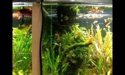 宿州市埇橋區家飾家水族屏風經營店（宿州哪里有賣屏風的）