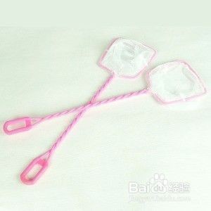 大魚缸清洗麻煩嗎:如何清洗大魚缸 魚缸百科 第3張 大魚缸清洗麻煩嗎:如何清洗大魚缸 大魚缸清洗麻煩嗎:如何清洗大魚缸 魚缸百科 第3張